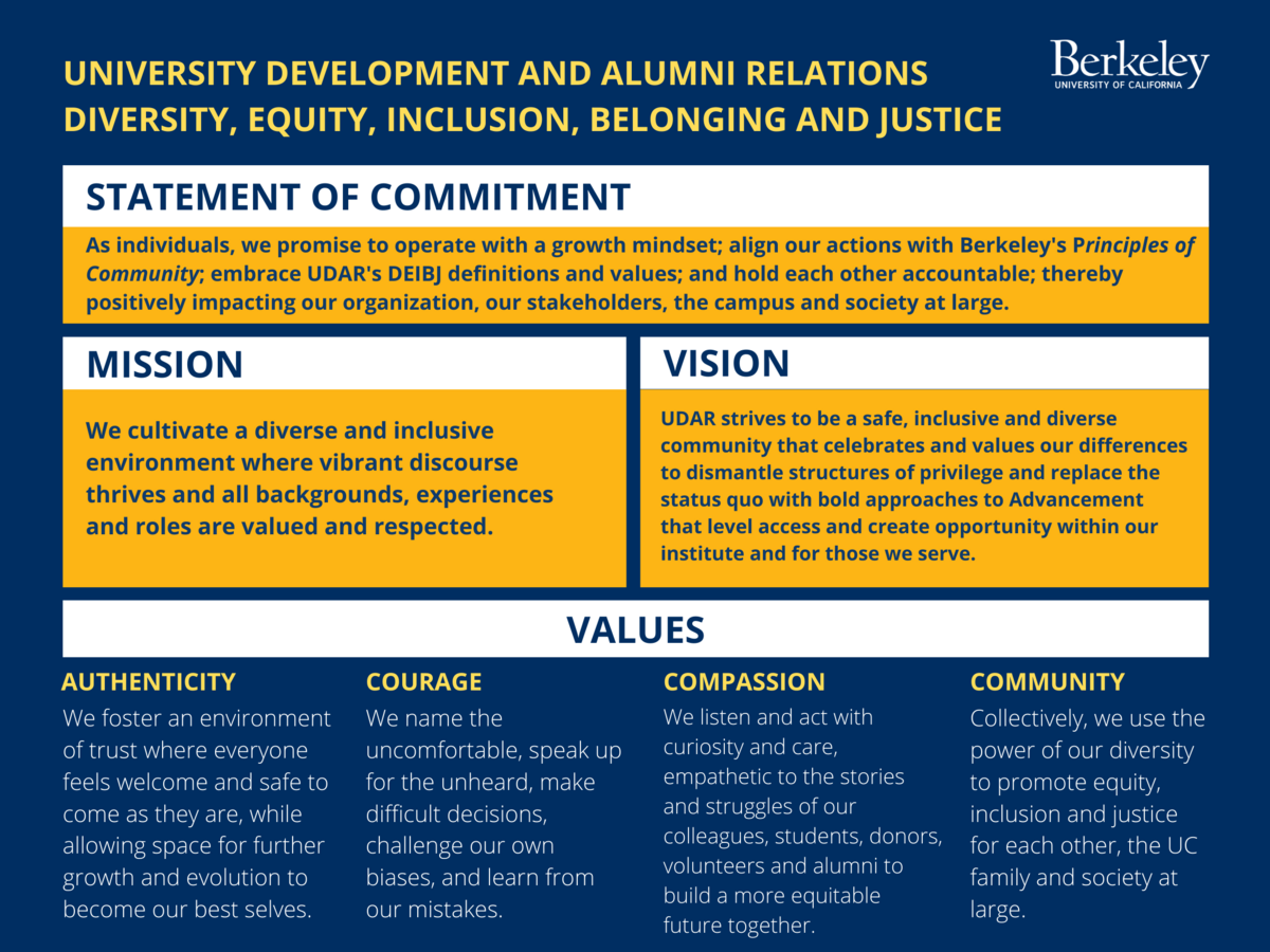 UDAR's statement of commitment, mission, vision, and values image. These statements are commitments we have made for our department.