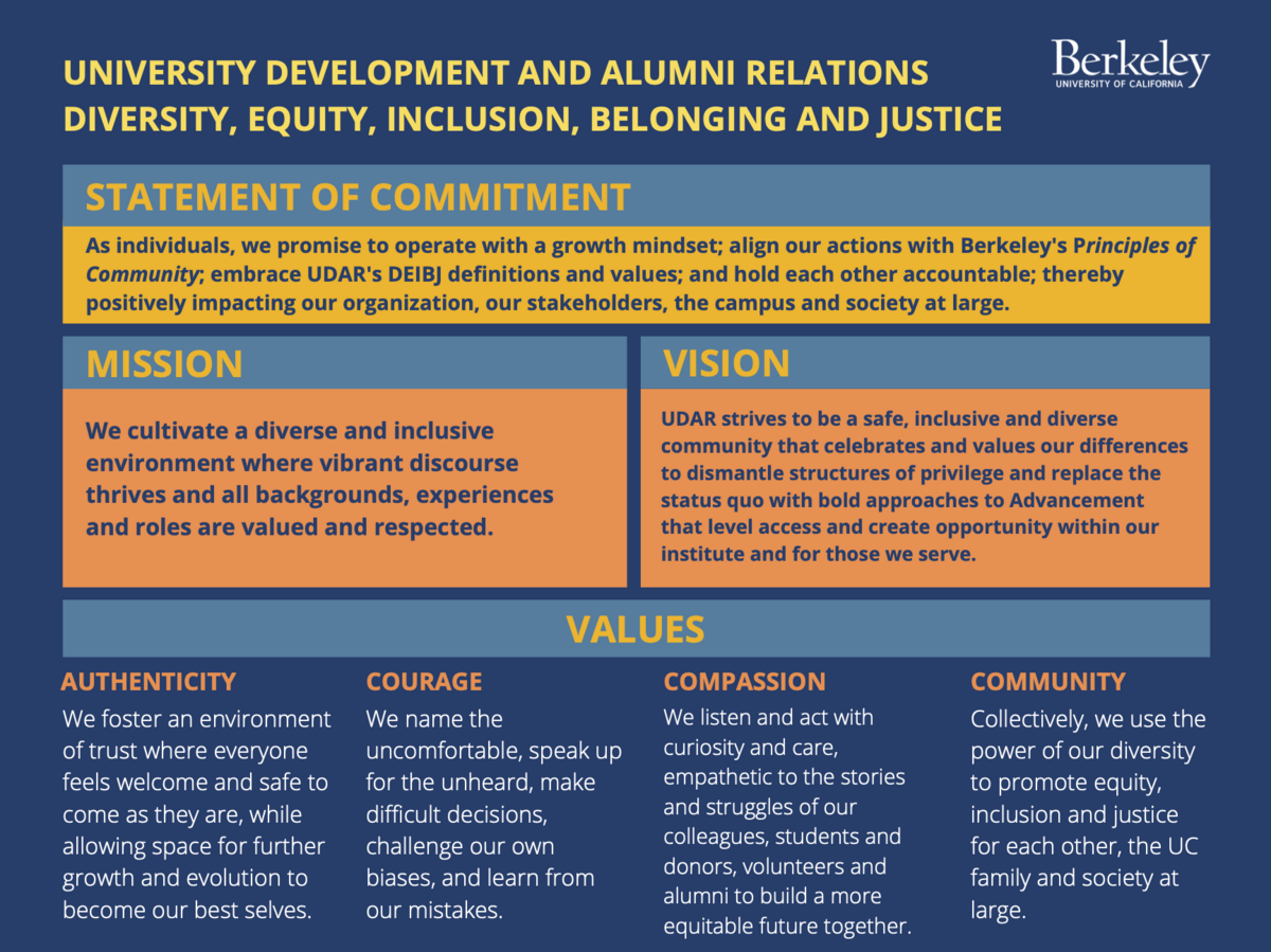 UDAR's statement of commitment, mission, vision, and values image