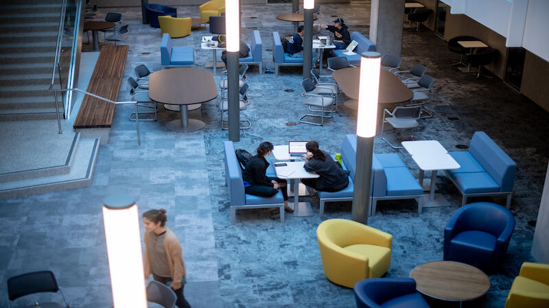 People working and collaborating at UC Berkeley