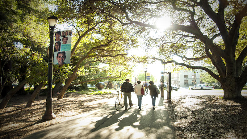 The Cal Fund - students walking under trees in pathway