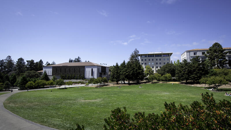 UC Berkeley campus, grass, and buildings