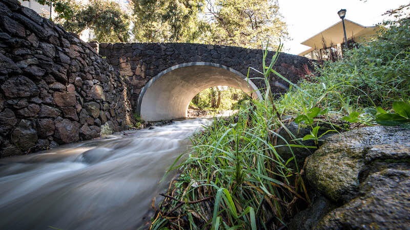 UC Berkeley creek with bridge