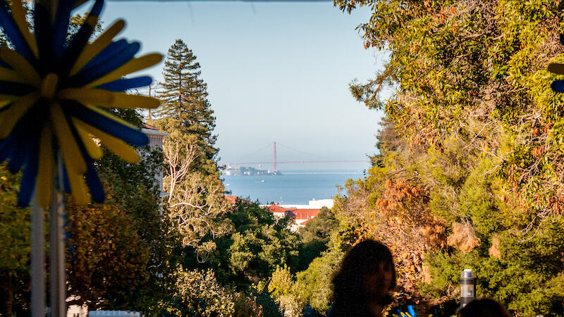 View of Golden Gate Bridge from UC Berkeley campus
